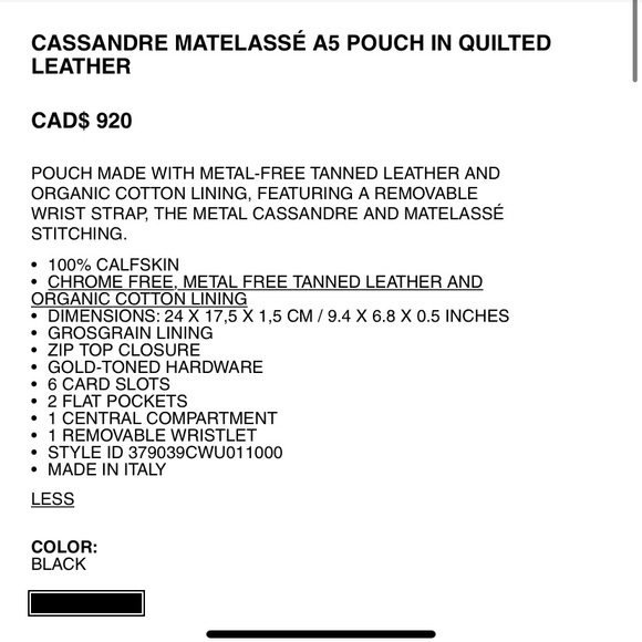 Authentic Saint Laurent Pouch - Picture 7 of 7